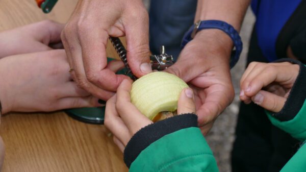 Hände halten geschälten Apfel