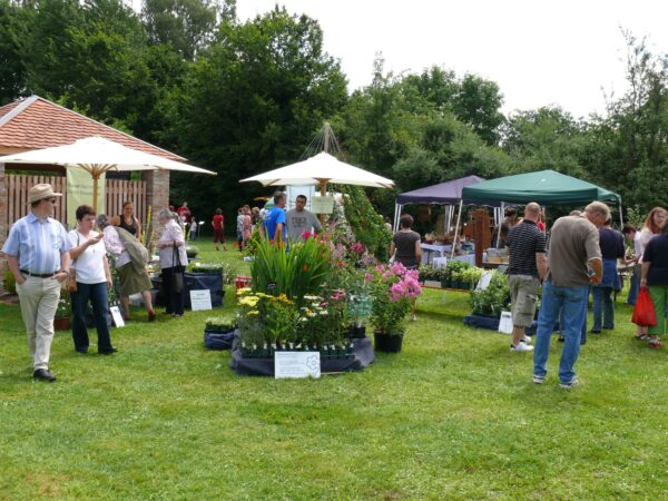 Schauen, erleben und genießen beim Gartentag 2025 im Kreislehrgarten Krumbach
